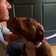 (Photo: www.twitter.com/SirPatStew)